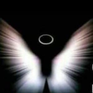 Meet your Posher, Julio